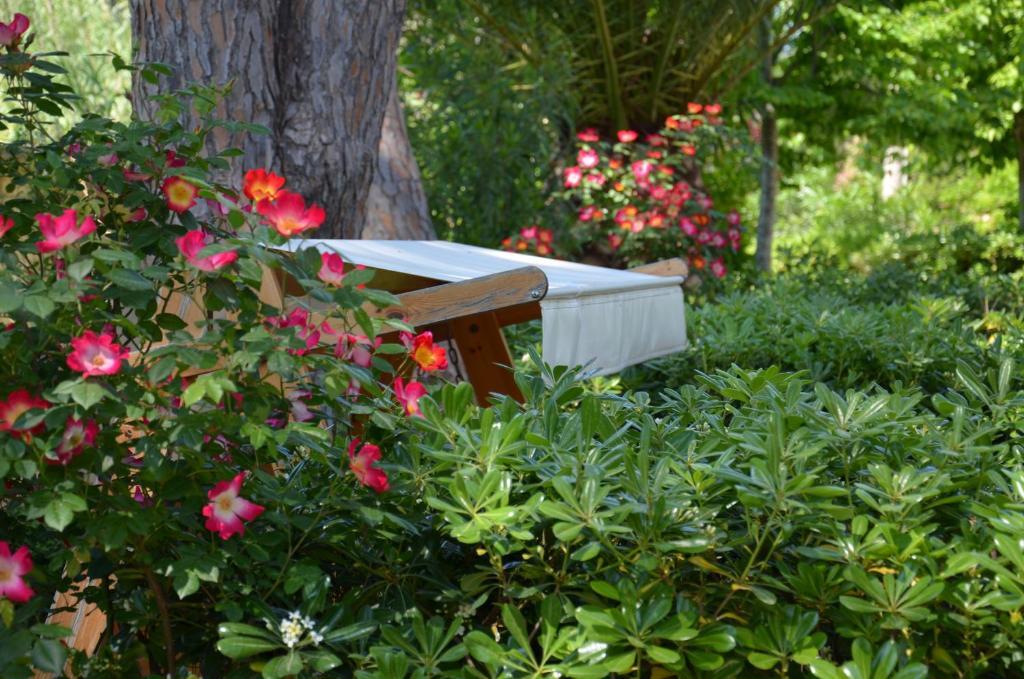 Terme Di Caldana Bed & Breakfast Venturina Terme